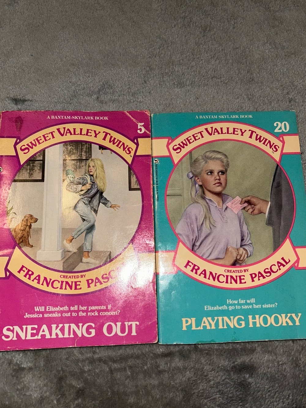 Lot of 2 Sweet Valley Twins Vintage Paperback Books 5 & 20